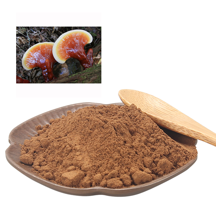 Must-Have Adaptogen for Busy Professionals: Reishi Extract
